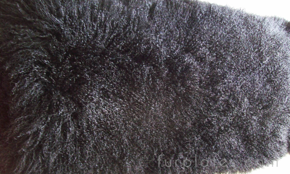 plato de cordero tibetano de lana de oveja mongol negra