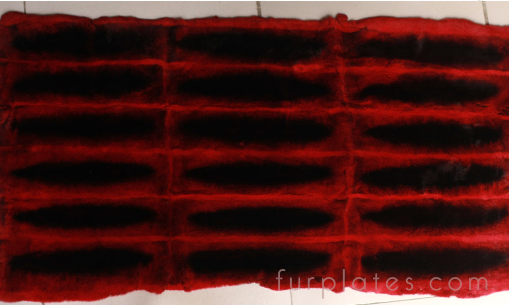 Rex Kaninchenplatte rot Chinchilla Farbe gefärbt